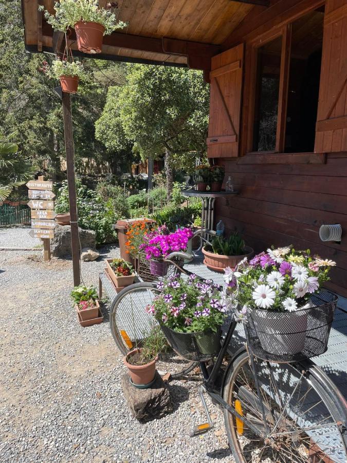 Agricamping Le Terrazze Hotel Orco Feglino Buitenkant foto