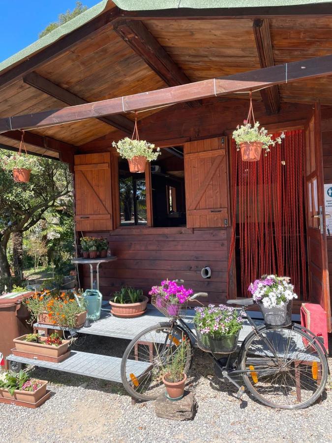 Agricamping Le Terrazze Hotel Orco Feglino Buitenkant foto