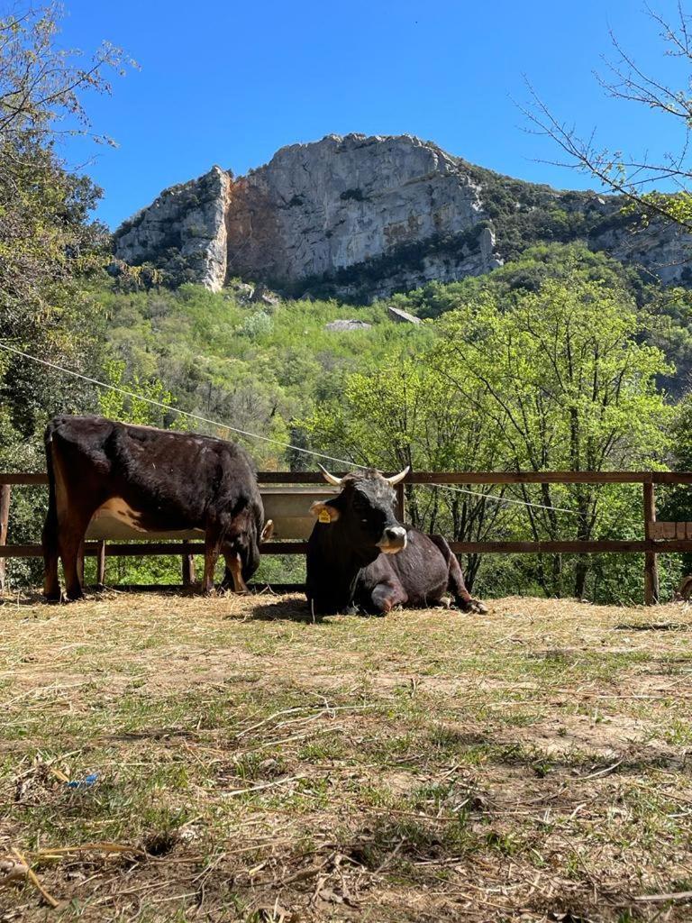 Agricamping Le Terrazze Hotel Orco Feglino Buitenkant foto